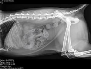 Trung Quốc nhà máy OEM 8KW <span class=keywords><strong>x</strong></span>ách tay Xray Máy thú y phòng khám thiết bị <span class=keywords><strong>x</strong></span> <span class=keywords><strong>Ray</strong></span> máy - Product Image 6