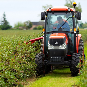 Poudre d'aronia (Chokeberry) biologique lyophilisée - Product Image 6
