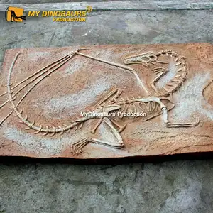 MY DINO DS044 Abenteuer Themenpark Realistisches Drachens kelett Fossil