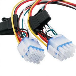 ชุดสายไฟแบบกำหนดเองได้หลายสีพร้อมขั้วต่อสีน้ำเงิน ได้รับการรับรองมาตรฐาน UL/CE/ISO สำหรับเครื่องทำความเย็นและเครื่องใช้ไฟฟ้า - Product Image 1