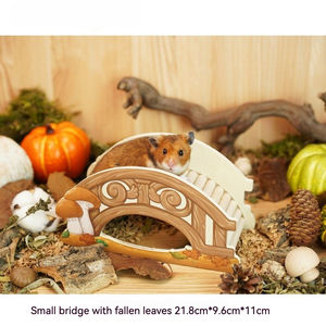 Peau de <span class=keywords><strong>hamster</strong></span> personnalisable, écologique, en bois massif, sans odeur et polyvalente - Product Image 4