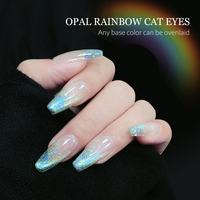 Gel Opale Effet Œil de Chat Arc-en-ciel HS Private Label SANS HEMA, Soak Off UV LED pour Salon de Manucure
