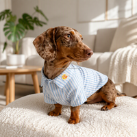 Vêtements personnalisés pour animaux de compagnie, chemise pour chien à rayures, manches courtes, col rabattable, boutons pression, vêtements d'été pour chiots et chats, vente en gros OEM