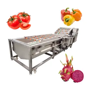 Máquina comercial personalizada de lavar e secar frutas cítricas, pimenta, manga e laranja, para venda