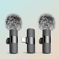 Microphone Lavalier sans Fil en Plastique à Condensateur Mini Type-C avec Réduction du Bruit pour l'Enregistrement d'Interviews en Direct