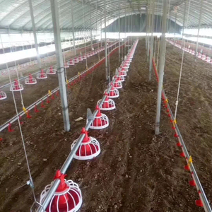 RS-44 yeni kanatlı 304 paslanmaz çelik tavuk Broiler asılı meme tavuk tiryakisi su meme - Product Image 6