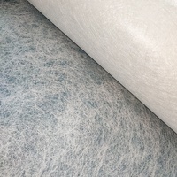 Non-tissé bicomposant durable en PET et PP, excellente résistance à la chaleur et au vieillissement pour planche de drainage B100WC