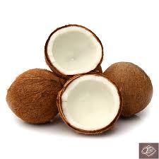 COCO FRESCO MADURO DE VIETNAM DE ALTA CALIDAD Y PRECIO COMPETITIVO - Product Image 4