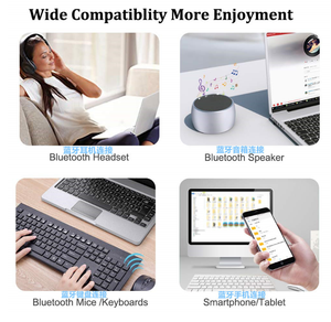 Transmisor y receptor de modo Dual RTL8761, Chipset BT v5.0, <span class=keywords><strong>Dongle</strong></span> usb inalámbrico, BT 5,0 - Product Image 4