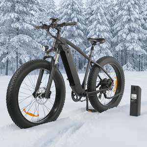 <span class=keywords><strong>Precio</strong></span> de Fábrica al por Mayor: Bicicleta Eléctrica de Montaña de Alta <span class=keywords><strong>Calidad</strong></span> con Neumáticos Anchos, Todoterreno, con Asistencia y Luces Recargables - Product Image 1
