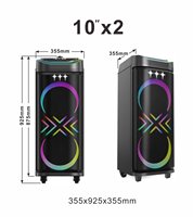 Altavoz de Karaoke Bluetooth con Micrófono, Altavoz para Fiestas al Aire Libre, Altavoz de Karaoke Dual de 10 Pulgadas con Micrófono y Bluetooth