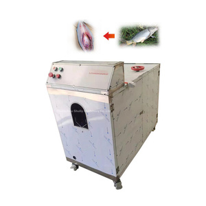 Máquina de procesamiento de limpieza de escamas de pescado <span class=keywords><strong>Vertical</strong></span> Industrial Máquina removedora de escamas para matar peces - Product Image 5