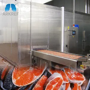 Arkref High Efficient Industrial Quick Frozen Fish Fillets 500kg/H Iqf Tunnel Freezer Machine Quick Freezer