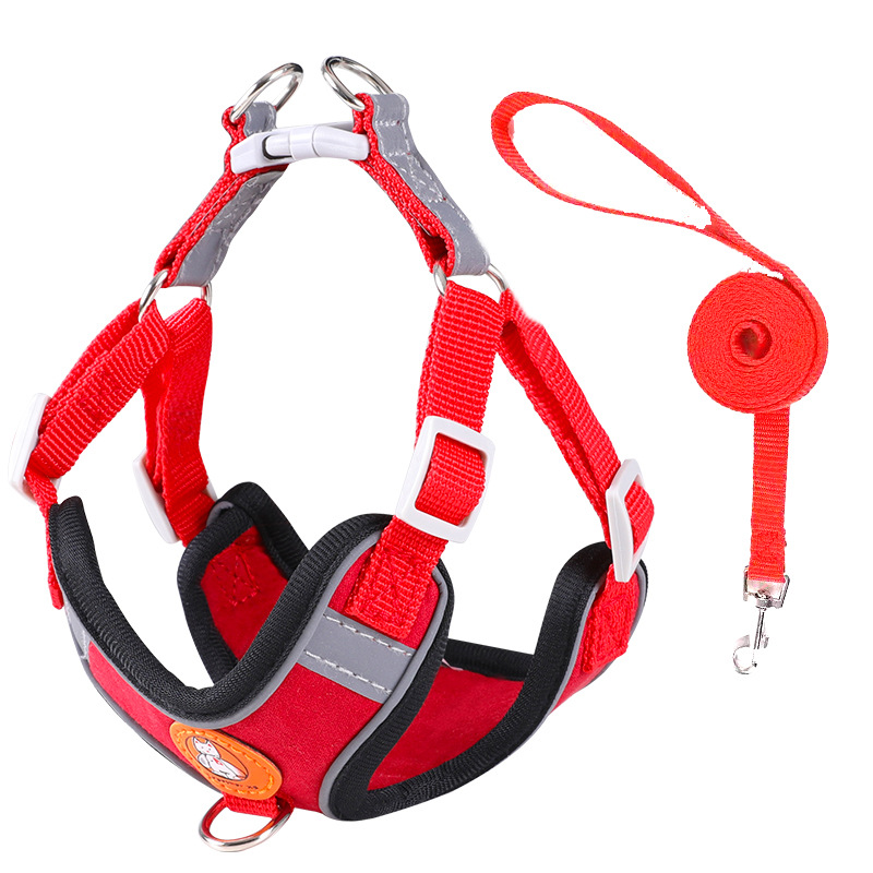 1Harness+1 leash