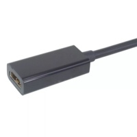 Câble MINI mâle vers HDMI femelle 4K 30Hz passif