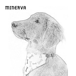 <span class=keywords><strong>Minerva</strong></span> diseñador patrón personalizado estampado ajustable grado infantil tela <span class=keywords><strong>de</strong></span> bambú piel amigable planta tinte mascota gato perro Bandana - Product Image 3