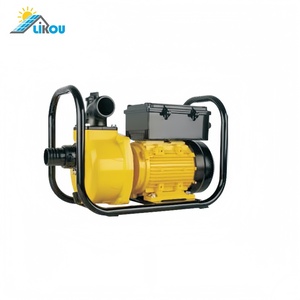 Likou <span class=keywords><strong>3000W</strong></span> AC/DC được xây dựng trong bộ điều khiển không chổi than bơm năng lượng mặt trời bơm nước bằng thép không gỉ cho tưới tiêu nông nghiệp 4HP - Product Image 6