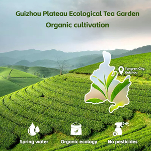 All'ingrosso puro giapponese Matcha in polvere cerimoniale Matcha <span class=keywords><strong>verde</strong></span> organico di grado cerimoniale tè <span class=keywords><strong>verde</strong></span> delizioso - Product Image 3