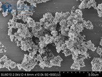 ZXY 99.9% Nano SiO2 15-20nm Polvo Blanco de Grado Industrial para Aplicaciones de Recubrimiento/Pintura Buena Calidad Mejor Precio