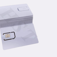 Carte IOT 30 Mo, validité 12 mois, avec internet et données pour traceur GPS mondial