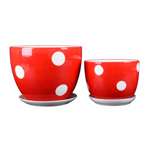 Plantes en pot dans des pots en céramique jaunes peints à la main - Product Image 1
