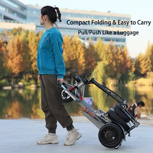 Giá Rẻ Người Cao Tuổi Mobility Scooter Trọng Lượng Nhẹ Có Thể Gập Lại Di Động 3 Bánh Xe Folding Electric Mobility Scooter