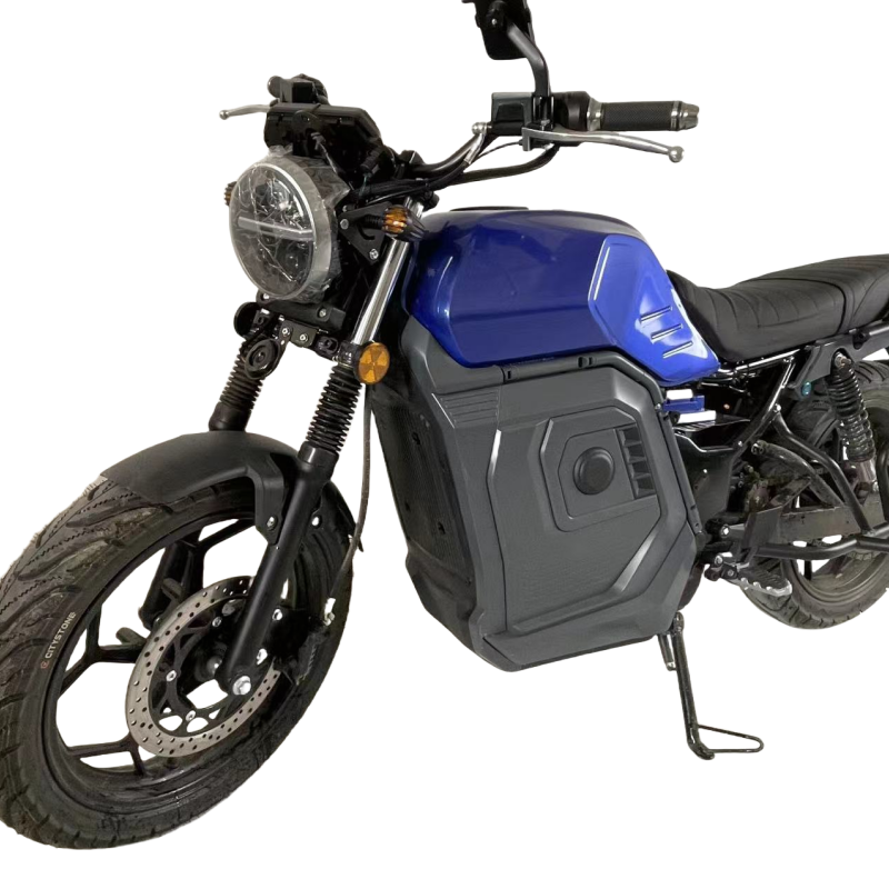 Adults 2 Wheel Electric Motorcycle with