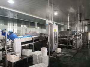 2021热卖自动煮蛋去皮机鸡蛋削皮机 - Product Image 4