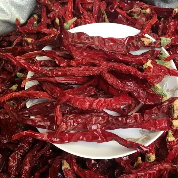 Chili Xian rugoso esportato In malesia confezionato In sacchetto di iuta, peperoncino croccante, peperoncino rosso In polvere