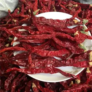 Faltiges Xian-Chili, exportiert nach Malaysia, verpackt in Jute tasche, knusprigem Chili, pulver förmigen roten Chilis