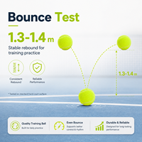 Balles de tennis d'entraînement pour amateurs, hauteur de rebond de 1,3 à 1,4 m, feutre durable, balle en caoutchouc à haute élasticité pour les exercices d'entraînement quotidiens