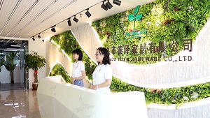 NUEVA Planta Suculenta Artificial <span class=keywords><strong>Echeveria</strong></span> Grande de Alta Calidad Tizen 2026 para Decoración de Jardín para Ocasiones de Pascua - Product Image 4