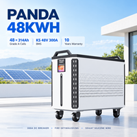 Batterie LiFePO4 Docan Panda 50kWh 48kWh 32kWh 51.2V 628Ah 942Ah 1000Ah pour stockage d'énergie solaire domestique – Stock UE et USA