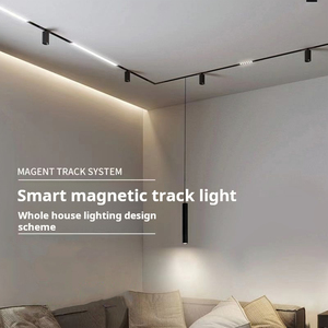 Proveedor led cob color luz de pista ajustable Tienda Luz de enfoque Riel magnético montado 6W 12W 18W 20W 24W 30W 40W LED Luz de pista - Product Image 3
