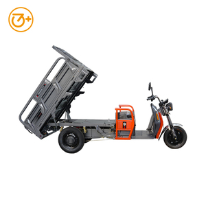 2025 Neues Modell EEC COC 2000W 3000W 72V Fracht-Dreirad Leistungs starker Muster bestell test - Product Image 6