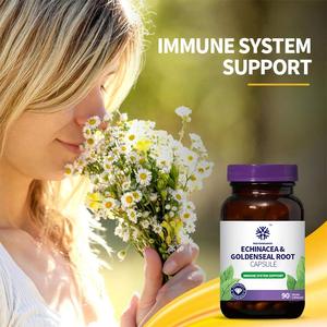 Органическая добавка для иммунной поддержки <span class=keywords><strong>Echinacea</strong></span> Goldenseal, корневая капсула, не содержит глютена для взрослых - Product Image 2
