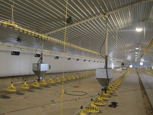 Bán buôn bền prefab ngành công nghiệp cường độ cao Thiết kế kết cấu thép hội thảo cho thức ăn chăn nuôi nhà máy - Product Image 4