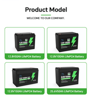 Batterie al Litio LiFePO4 12V 24V Dirette dalla Fabbrica, 50Ah 100Ah 150Ah, Batteria per Accumulo Energia Solare Domestica, Batteria al Litio a Ciclo Profondo