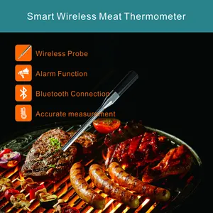 Oplaadbare Ip67 Waterdichte Smart Bt Sonde Bbq Grill Draadloze Vleesthermometer Metaal Voor Koken
