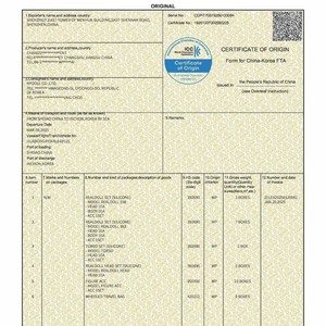 Servicios de Aduanería, Certificado de Origen, Declaración de Almacén Libre de Aduanas en Shenzhen - Product Image 1