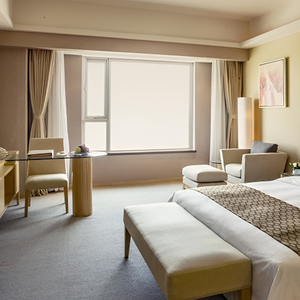 Venta al por mayor cortinas eléctricas de lujo en gris cortinas de ventana modernas Color sólido seda doble tratamiento de ventana transparente - Product Image 4