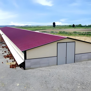 Grote Capaciteit Kippenhok Vleeskuikens Pluimvee Staalconstructies Lage Prijs Boerderijgebouwen
