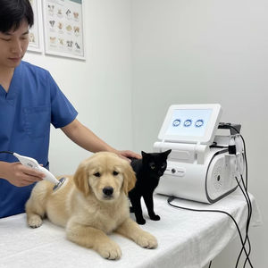 Terapia Tecar de 448khz, Masaje para Animales Enteros, Fisioterapia, <span class=keywords><strong>Diatermia</strong></span>, Tecarterapia con Eliminación Profunda de Grasa - Product Image 3