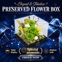 Rose de tournesol préservée dans une boîte en acrylique – Fleurs éternelles faites à la main pour la Fête des Mères et la Saint-Valentin