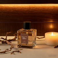 Ensemble de diffuseurs de parfum d'ambiance haut de gamme, diffuseur de parfum d'intérieur de luxe avec bâtonnets naturels pour la décoration intérieure moderne