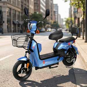 <span class=keywords><strong>Vélo</strong></span> <span class=keywords><strong>électrique</strong></span> avec facture, ensemble complet de documents d'exportation officiels, idéal pour les achats B2B de grands clients avec tranquillité d'esprit. - Product Image 2