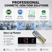 Gloss repulpant pour les lèvres, effet piquant, OEM, marque privée, logo personnalisé, vente en gros, produit de beauté naturel pour les lèvres