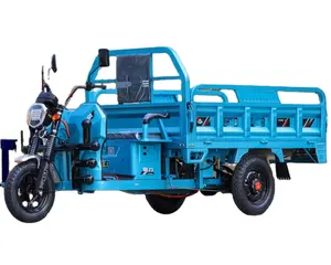 Manufacturer Direct Sales 1000W/1200W electric tricycles car tricycles motoris taxi cargo electric tricycle