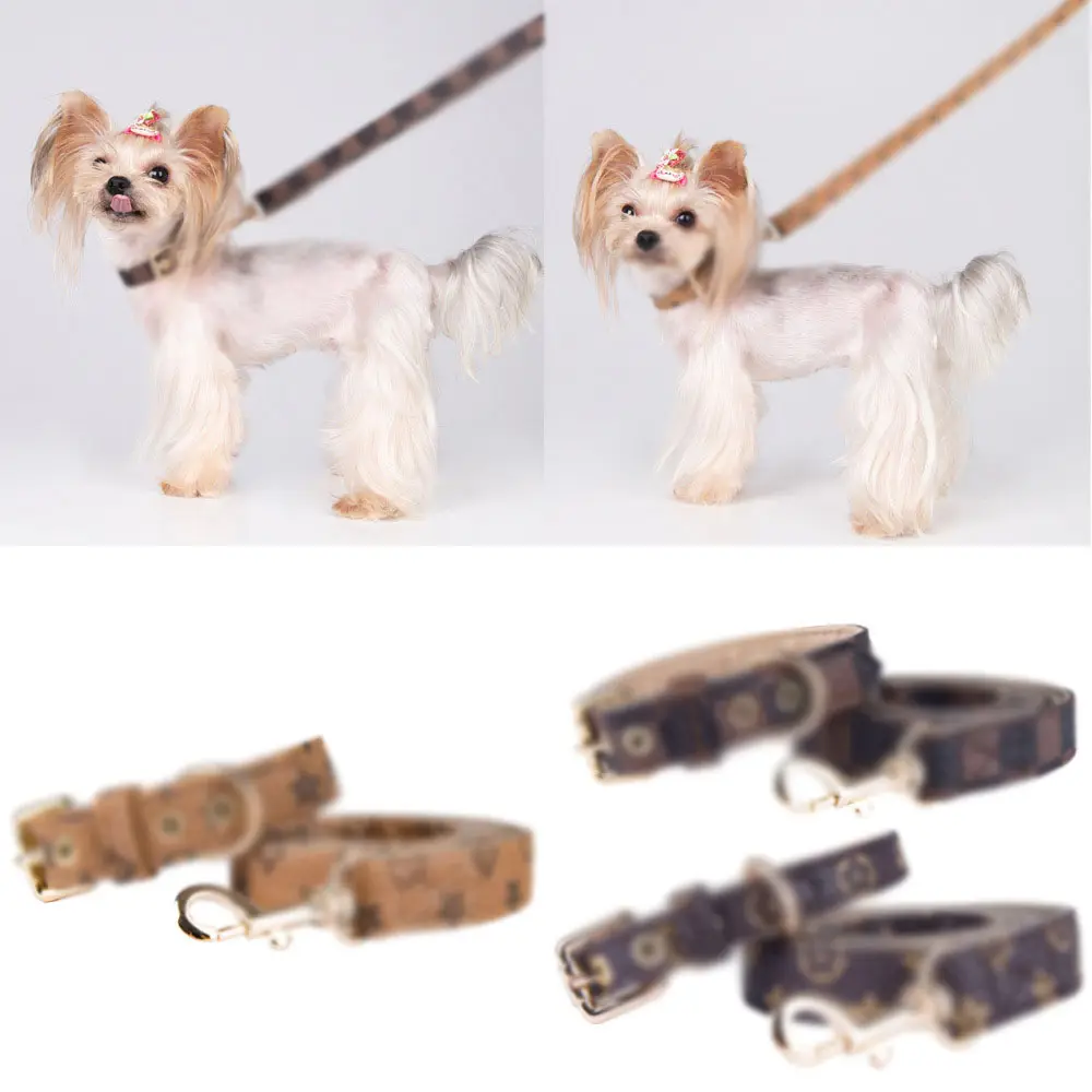 Aangepaste Nieuwe Mode Huisdier Pu Kraag Leash Set Katten En Honden Te Voorkomen Verloren Lederen Kraag