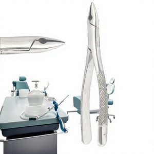 Pinces d'extraction dentaire manuelles <span class=keywords><strong>Jack</strong></span> <span class=keywords><strong>Billy</strong></span> Enterprises 101 pour canins supérieurs et inférieurs, dents de lait, instruments universels de classe I - Product Image 2